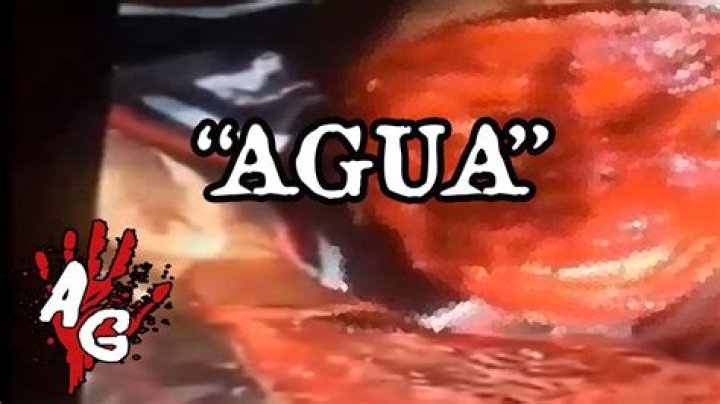 Exploring The Fascinating World Of Quero Água Gore